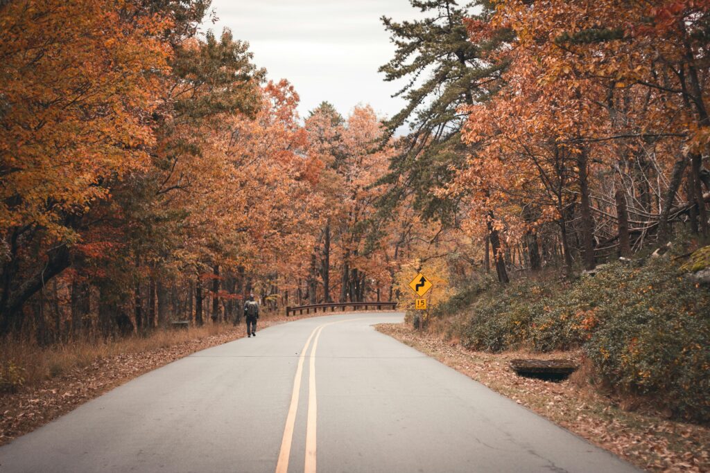 A peaceful country road.