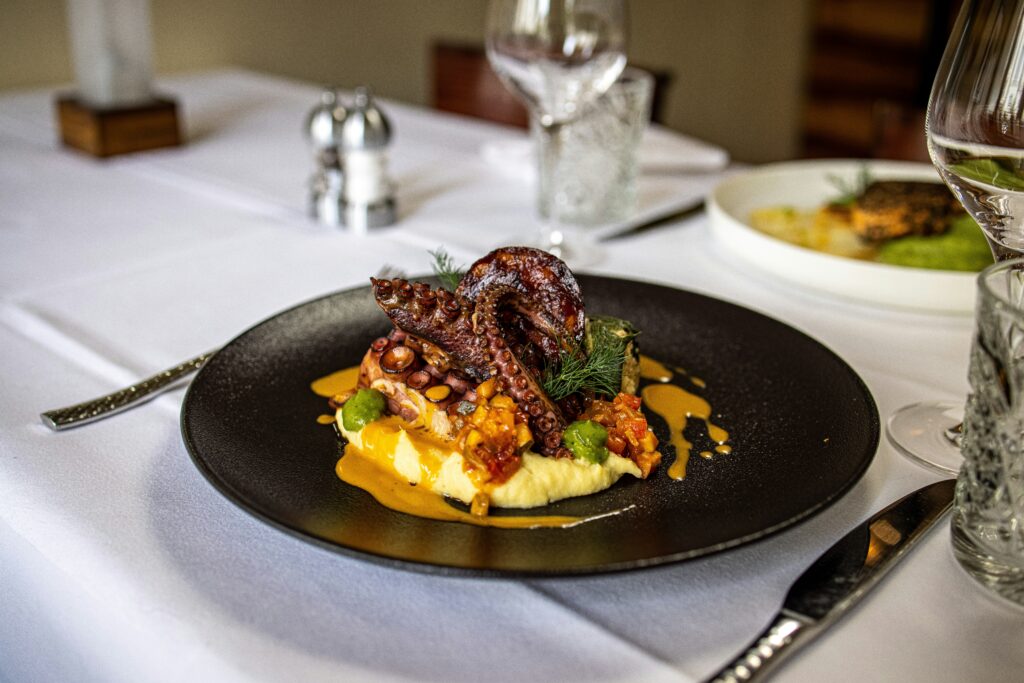 A photo of a beautifully prepared octopus dish at the Providence Culinary Collective in Rhode Island. 